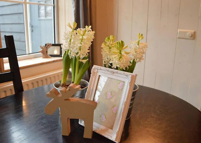 Cozy Holiday Home In Oisterwijk With Private Garden Holiday home Oisterwijk