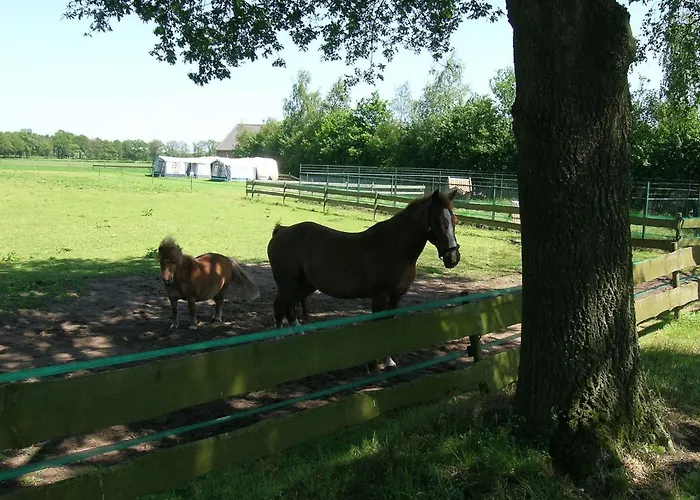 Holiday home Cozy Holiday Home In Oisterwijk With Private Garden Oisterwijk