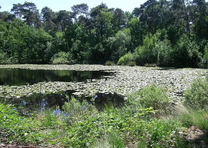 Cozy Holiday Home In Oisterwijk With Private Garden Holiday home *