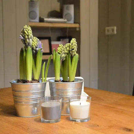 بيت للعطل Cozy Holiday In With Private Garden أويسترفايك