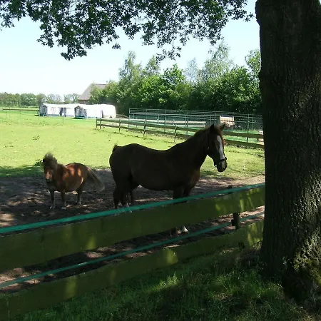 بيت للعطل Cozy Holiday In With Private Garden أويسترفايك