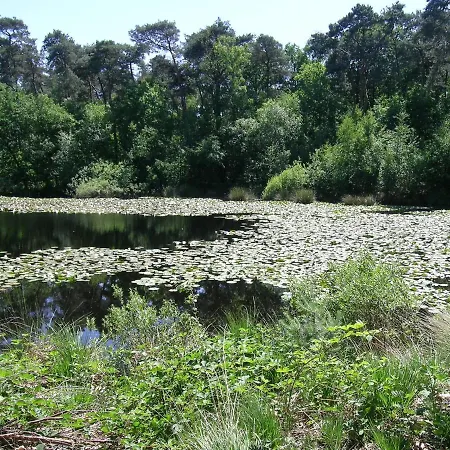 Cozy Holiday In With Private Garden بيت للعطل *