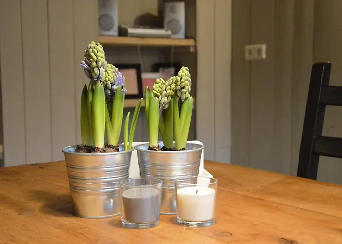 Дом отдыха Cozy Holiday In With Private Garden Ойстервейк